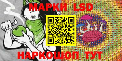 молекула духа Будённовск
