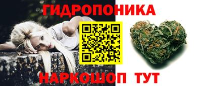 молекула духа Будённовск