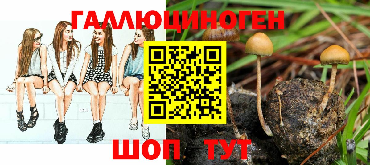 Псилоцибиновые грибы MAGIC MUSHROOMS  Вход с VPN  где купить наркоту  Красноуфимск 